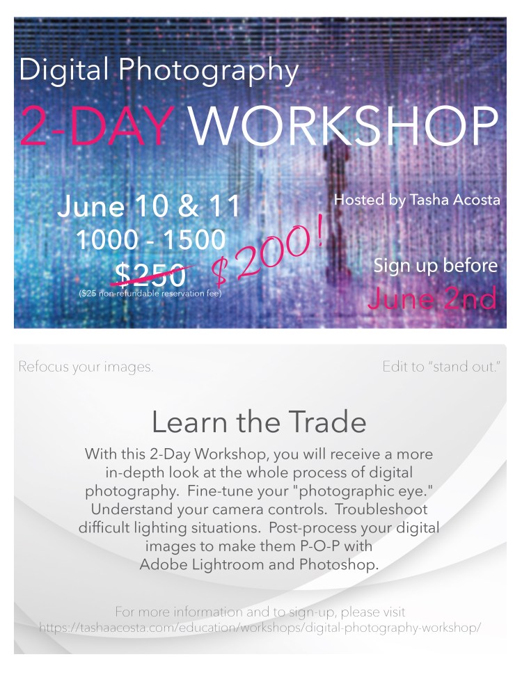2-DayWorkshopFlyerJUN10-11-01.jpg